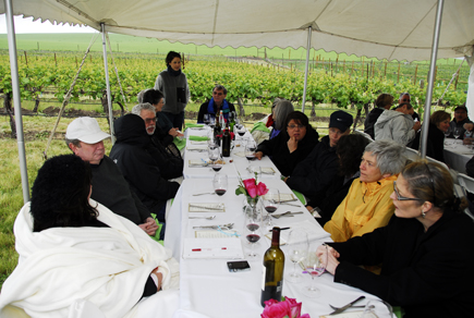 A cool wind blows through our vineyard picnic in the Walla Walla Valley. 