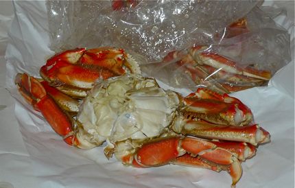 Dungeness Crab photo